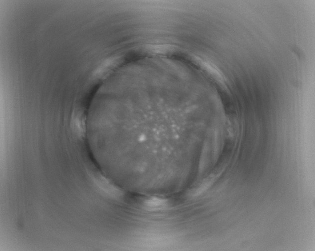 X0000115610718200911241616