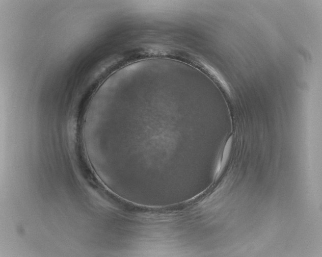 X0000115610722200911241615