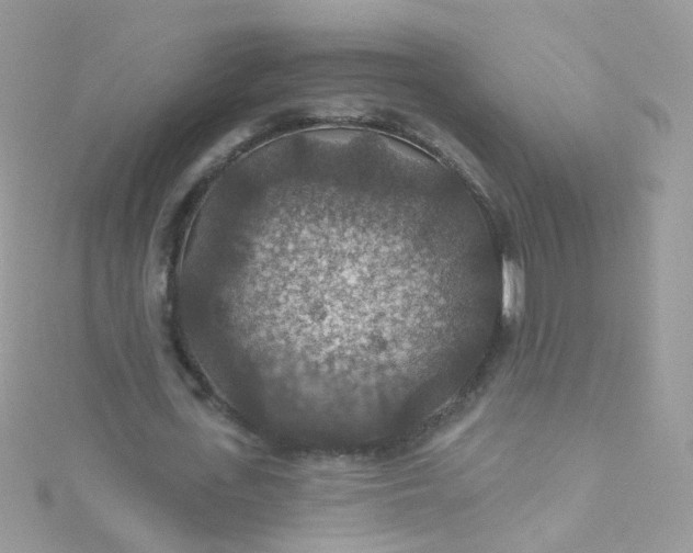 X0000115610723200911241615