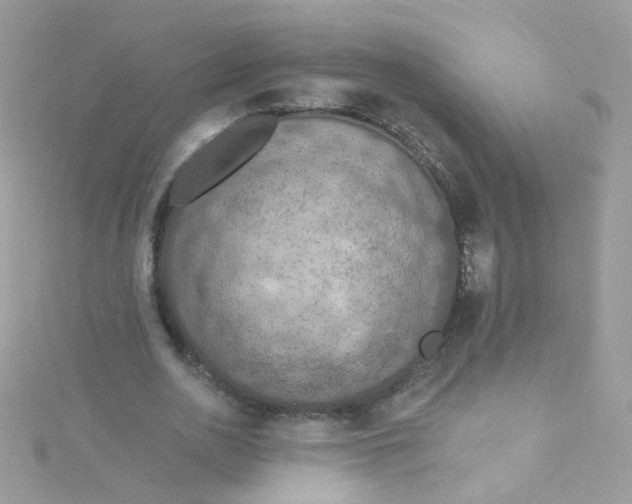 X0000115610726200911241615