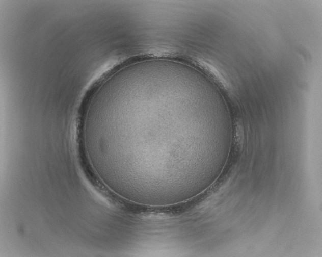 X0000115610730200911241616