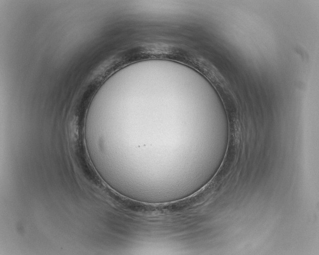 X0000115610731200911241616
