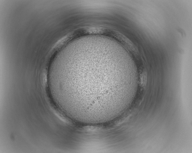 X0000115610733200911241616