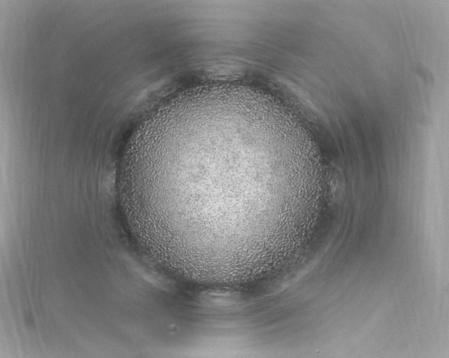 X0000115610745200911241616