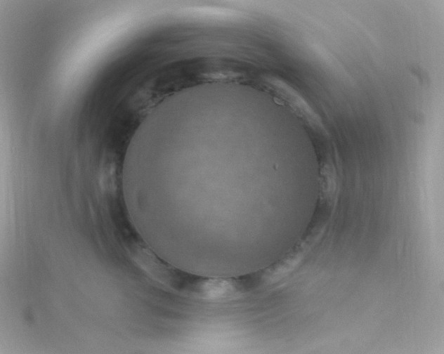 X0000115610762200911241616