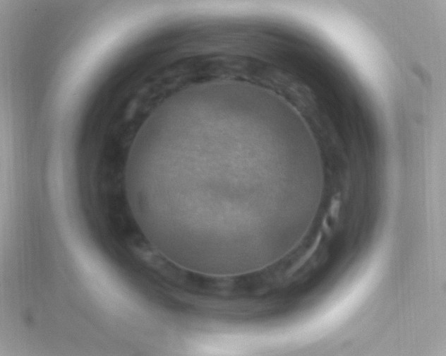 X0000115610767200911241616