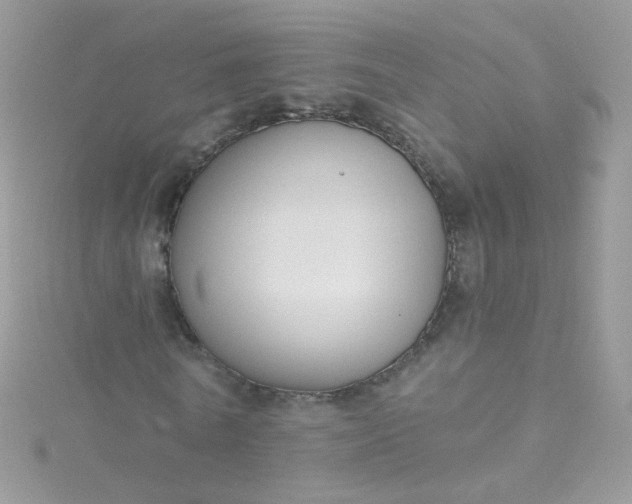 X0000115610770200911241615