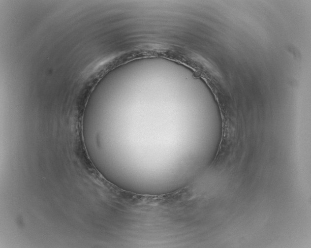 X0000115610773200911241615