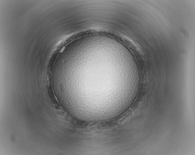 X0000115610776200911241615
