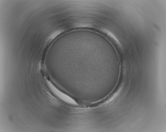 X0000115610777200911241615