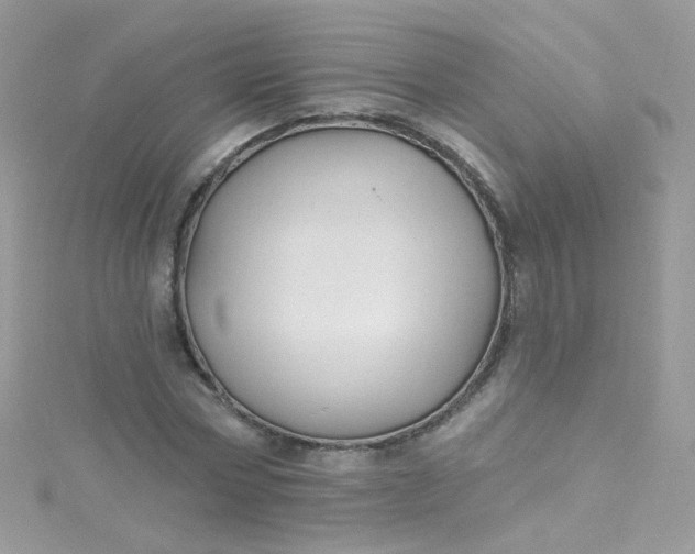 X0000115610778200911241615