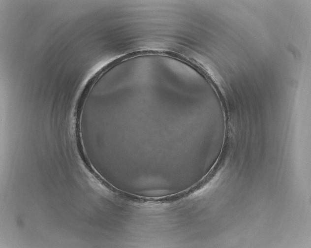 X0000115610779200911241615