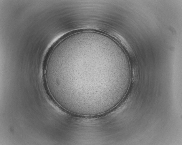 X0000115610780200911241615