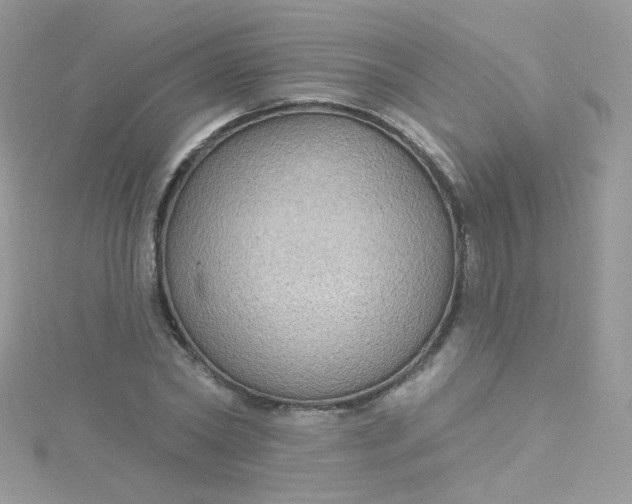 X0000115610782200911241615