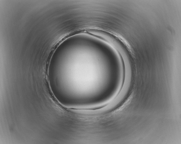 X0000115610785200911241615