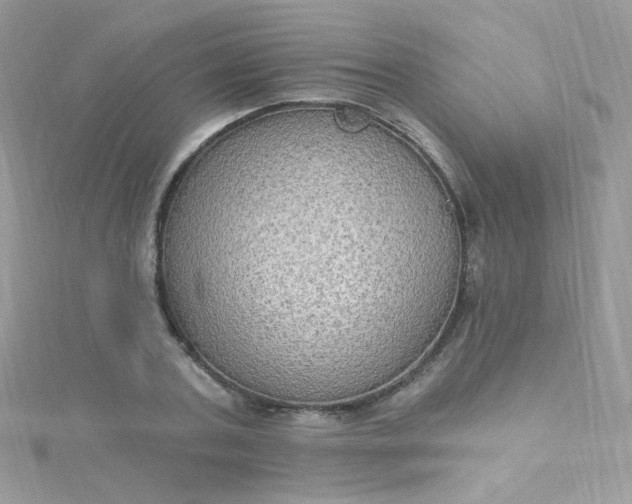 X0000115610787200911241615