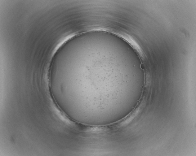 X0000115610806200911241615