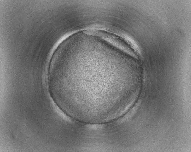 X0000115610808200911241615