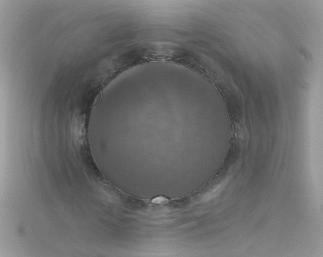 X0000115610818200911241614