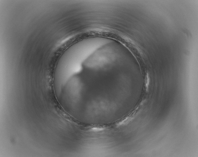 X0000115610822200911241614
