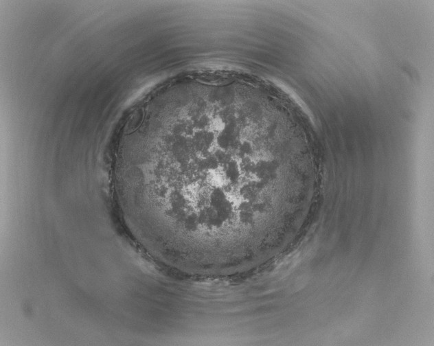 X0000115610823200911241614