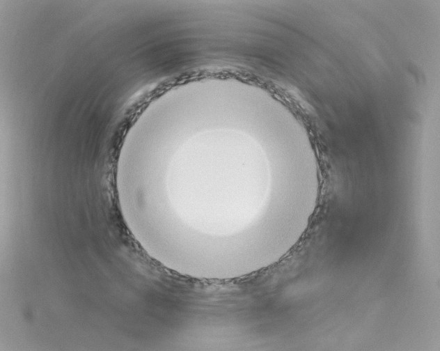 X0000115610824200911241614