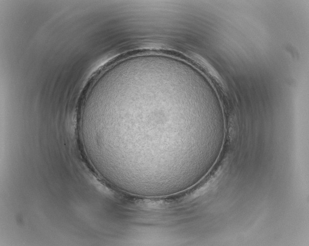 X0000115610831200911241614