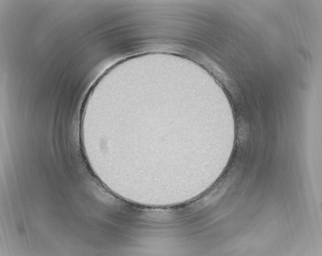 X0000115610836200911241614