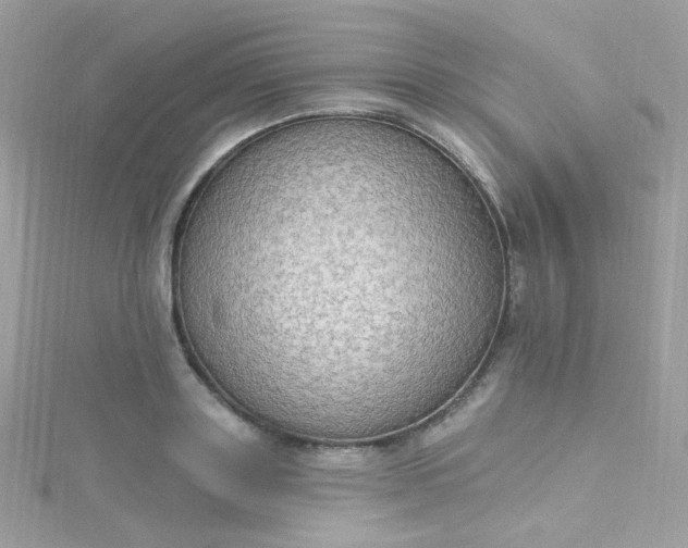 X0000115610843200911241615