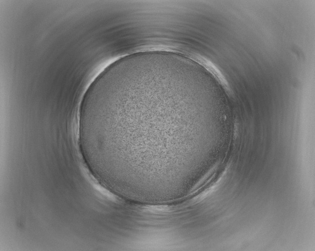 X0000115610844200911241615