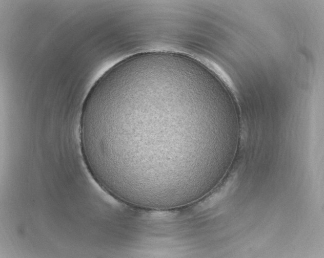 X0000115610847200911241615
