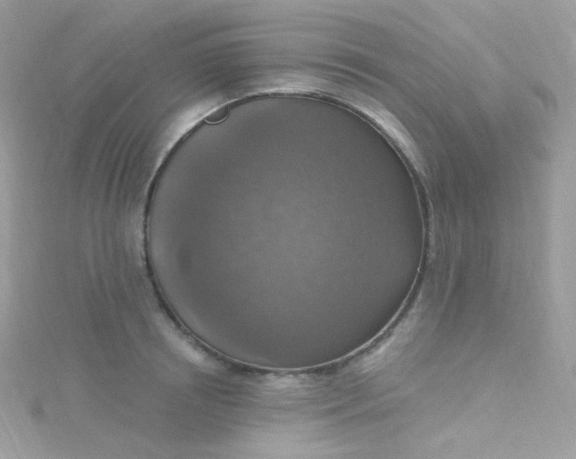 X0000115610850200911241615