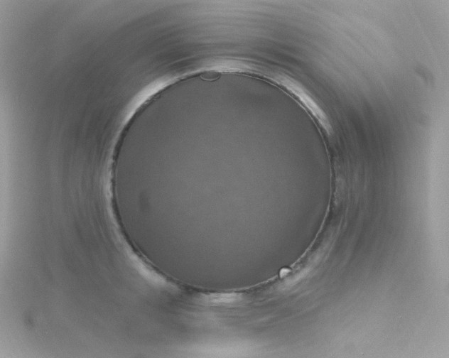 X0000115610853200911241615