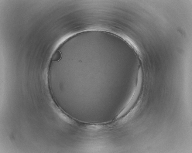 X0000115610854200911241615