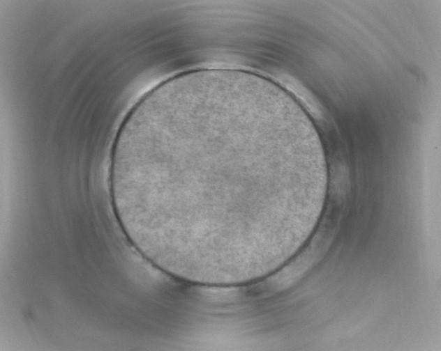 X0000115610856200911241615
