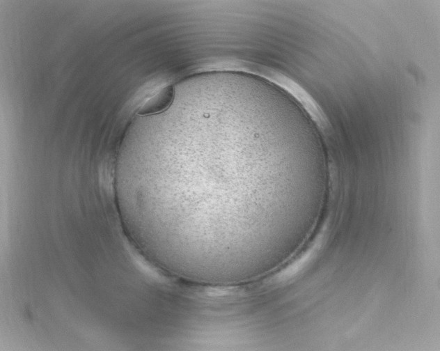 X0000115610857200911241615