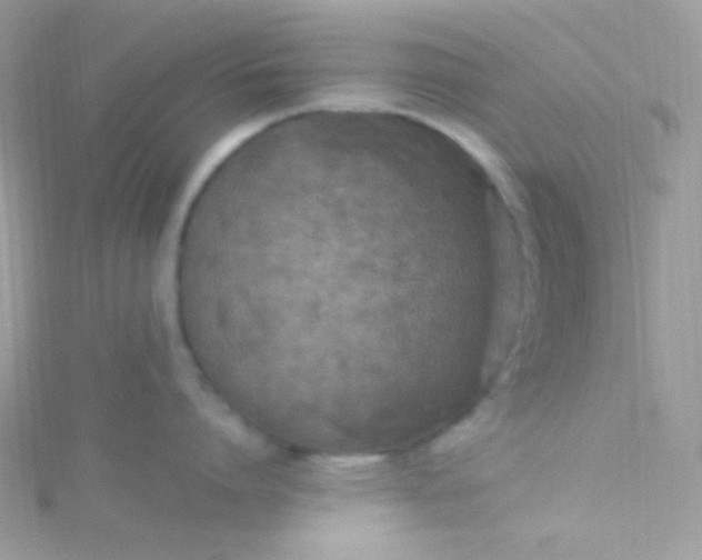 X0000115610864200911241615