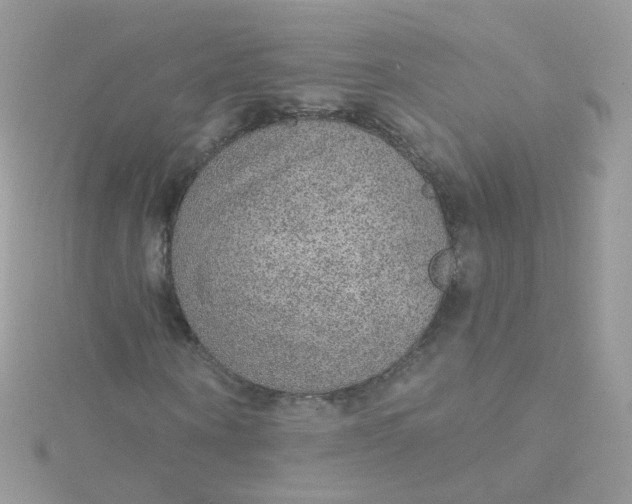 X0000115610866200911241614