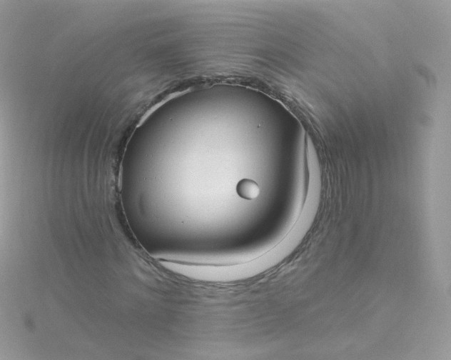 X0000115610868200911241614