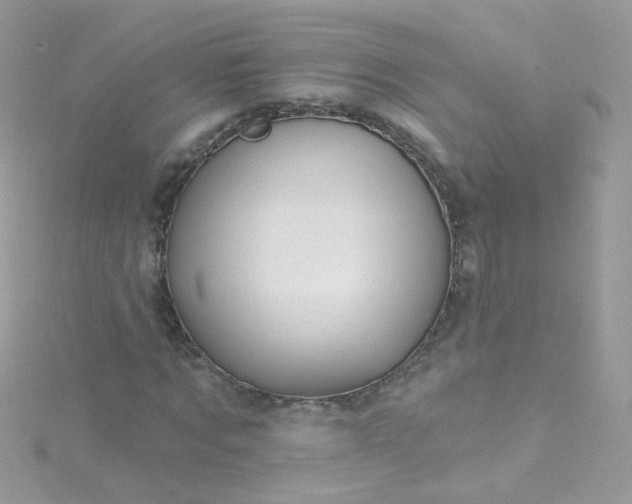 X0000115610869200911241614