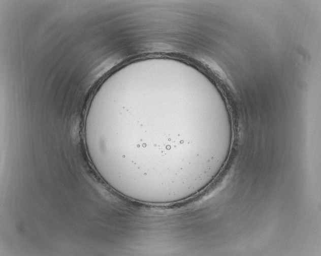 X0000115610873200911241614