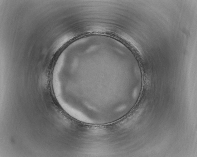 X0000115610874200911241614