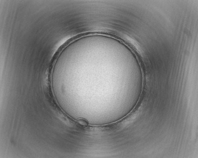 X0000115610875200911241614