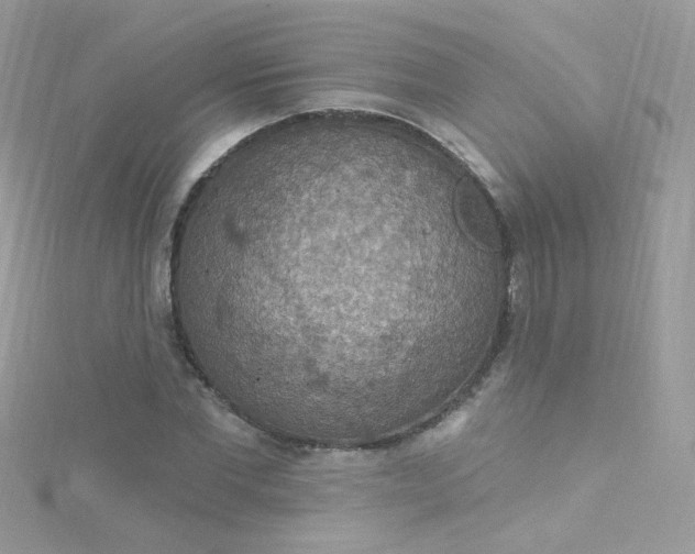 X0000115610877200911241614