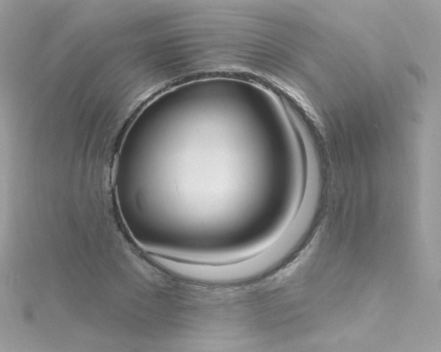 X0000115610881200911241614