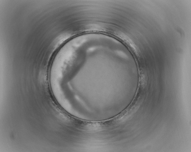 X0000115610882200911241614