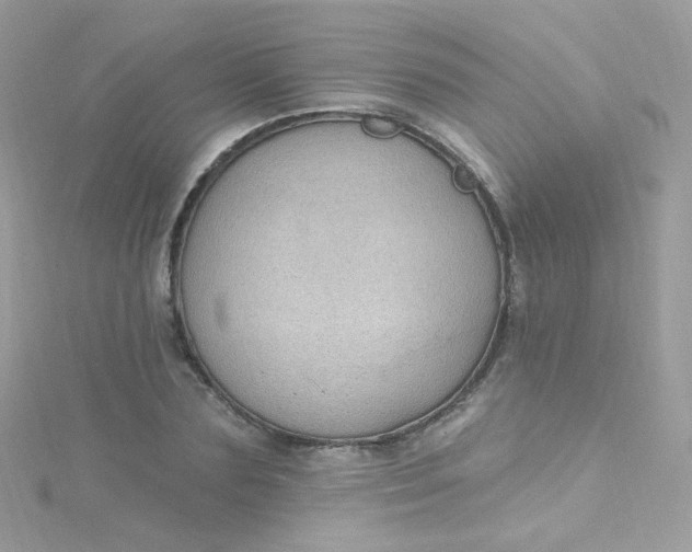 X0000115610883200911241614