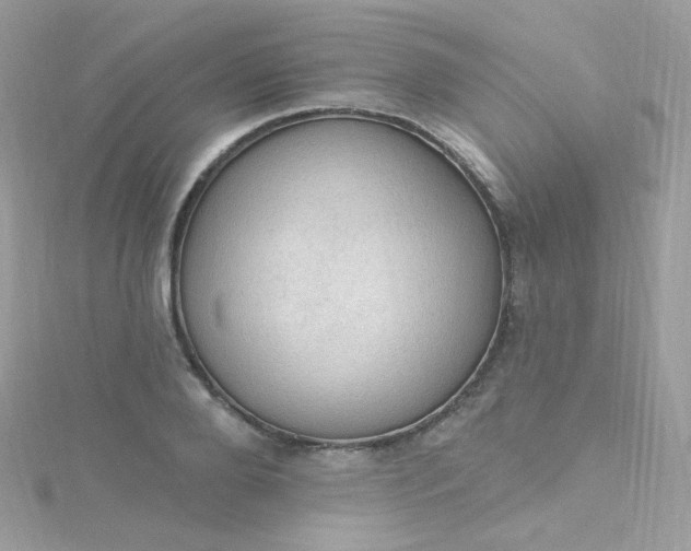 X0000115610888200911241614
