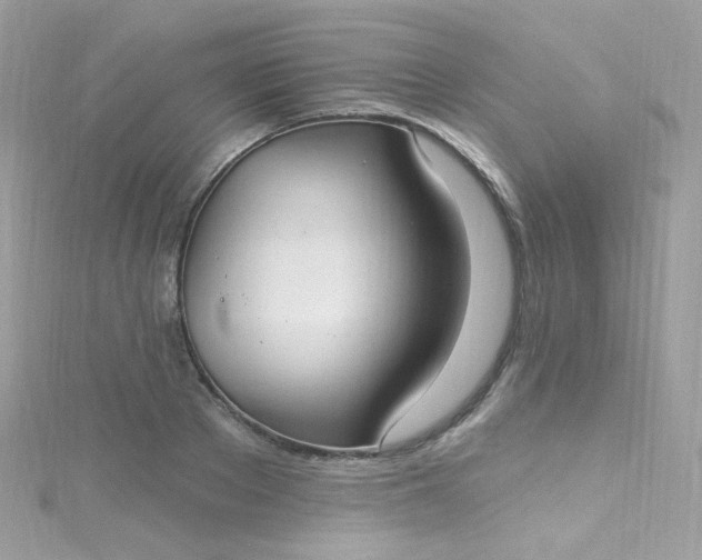 X0000115610889200911241614