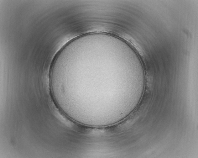 X0000115610890200911241614
